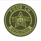 Региональная Общественная Организация Ветеранов Специального Назначения "Витязь-Брянск"