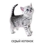 люблю стаса очень сильно