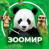 ЗооМир | ЖИВОТНЫЕ | ДОМАШНИЕ ПИТОМЦЫ