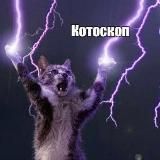 котоскоп