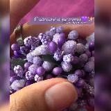 𝐻𝑎𝑝𝑝𝑖𝑛𝑒𝑠𝑠💜✨