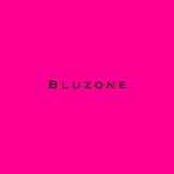 Bluzone шоурум- женская одежда Size plus 42-66