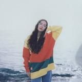 вишневецка я