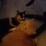 🎅🏻 Чат общения 🎄