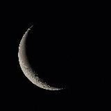 ʟᴀᴀᴍᴏʟʟɪ