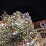 Бросить все. Или как мы второй раз завели трактор и угнали его в Словакию.