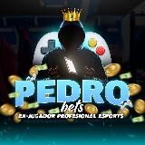 PedroBets || 🎮 Esports
