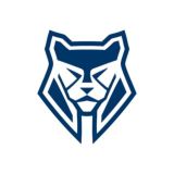 ФБК «Ирбис» Chat