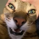 Посиделки у Фёдора Николаевича