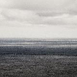 любишь_меня(¿)