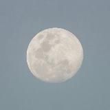 onyx tarot | astrology