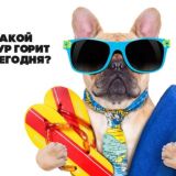 🌴Путешествия с 🧡Tour☀️ ✈️