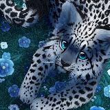 Sew_SP закупки