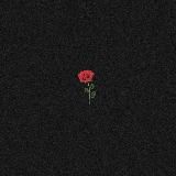 «𝑆 𝐶 𝐴 𝑅 𝐿 𝐸 𝑇»