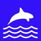 Крипто Косатка