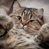 Отзывы о Катрин 👑🍓