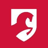 FELIX: антифризы и моторные масла