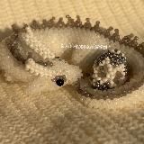 ✧ bead.queen.official ✧