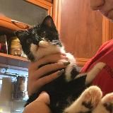 𝘷𝘳𝘢𝘳𝘢𝘪𝘭𝘴 👍🏾