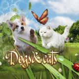 Щенки/Котята продажа по всему миру