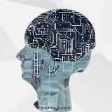 Строитель разума