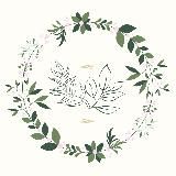 Здоровье наше всё🌿 Новости медицины | Полезные статьи