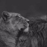 Не для тебя🤍