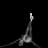 ГОС экзамены