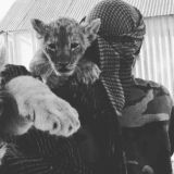 🤍Писатель🤍