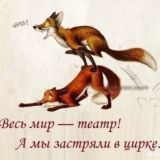 Маркетплейсный Шапито: Наводим Порядок