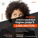 🛍 AMBASSADEUR RELD CONSULTING