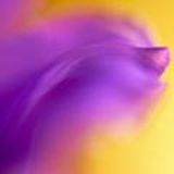 ЧАТ 10 КЛАСС🧬