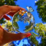 Живые мотивашки