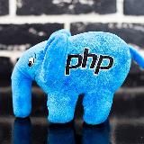 phpinfo();