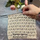 Лариса Цуркан