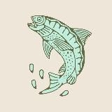 Онежская форель охлажденная🐟Москва и МО