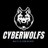 CYBERWOLFS pubgm