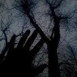 все лишь копия