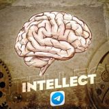 INTELLECT 🧠