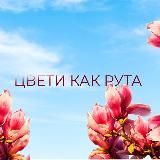 Аня • Жить у моря
