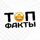 Top факты