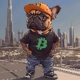 Serfenger Cripto 💰