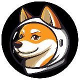 LAIKA The Cosmodog