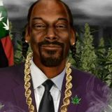 Чунга-Чанга 👉Продажи👈