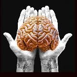 СЕКРЕТЫ ЖИЗНИ