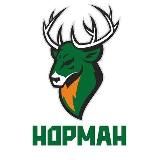 «Торпедо-2» Нижегородская область