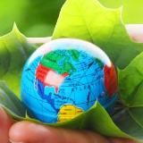 Потревелим? МИР | Путешествия