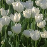 Прайсик🌷Отзывы🎀