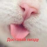 мемята с нашего двора