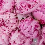 Душевная Магия